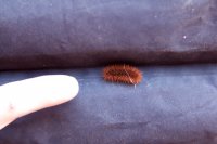 swett-creek-canyon-utah-26.jpg swett-creek-canyon-utah-26.jpg