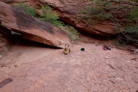 swett-creek-canyon-utah-27.jpg swett-creek-canyon-utah-27.jpg