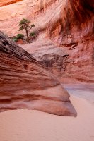 swett-creek-canyon-utah-32.jpg swett-creek-canyon-utah-32.jpg