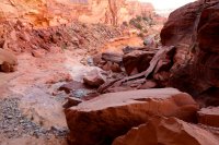 swett-creek-canyon-utah-34.jpg swett-creek-canyon-utah-34.jpg