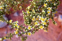 swett-creek-canyon-utah-35.jpg swett-creek-canyon-utah-35.jpg