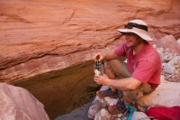 IMG_8261.jpg IMG_8261.jpg