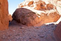 IMG_8387.jpg IMG_8387.jpg