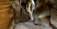 Willis_900x460.jpg Willis_900x460.jpg