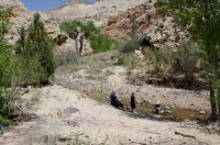 DSC_2653.jpg DSC_2653.jpg