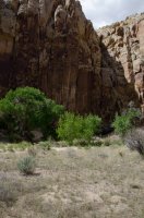 DSC_2658.jpg DSC_2658.jpg