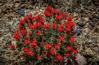 DSC_2657.jpg DSC_2657.jpg