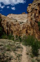 DSC_2656.jpg DSC_2656.jpg