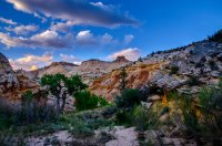 DSC_2682.jpg DSC_2682.jpg