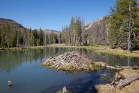 north-fork-provo-uintas-04.jpg