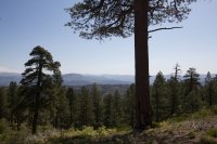 zion-west-rim-1.jpg zion-west-rim-1.jpg