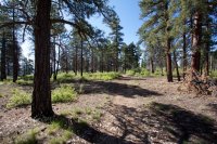 zion-west-rim-4.jpg zion-west-rim-4.jpg