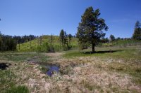 zion-west-rim-6.jpg zion-west-rim-6.jpg