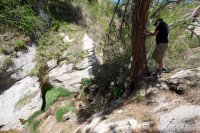 zion-west-rim-10.jpg zion-west-rim-10.jpg