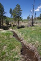 zion-west-rim-13.jpg zion-west-rim-13.jpg