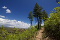 zion-west-rim-14.jpg zion-west-rim-14.jpg