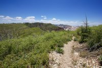 zion-west-rim-15.jpg zion-west-rim-15.jpg