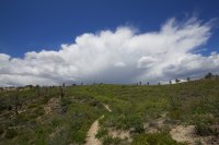 zion-west-rim-16.jpg zion-west-rim-16.jpg