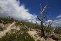 zion-west-rim-18.jpg zion-west-rim-18.jpg