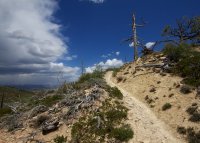 zion-west-rim-19.jpg zion-west-rim-19.jpg