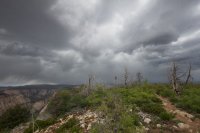 zion-west-rim-23.jpg zion-west-rim-23.jpg