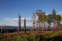zion-west-rim-24.jpg zion-west-rim-24.jpg
