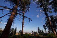 zion-west-rim-25.jpg zion-west-rim-25.jpg