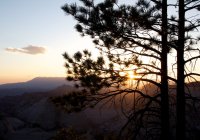 zion-west-rim-27.jpg zion-west-rim-27.jpg