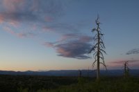 zion-west-rim-28.jpg zion-west-rim-28.jpg