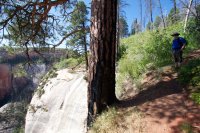 zion-west-rim-30.jpg zion-west-rim-30.jpg