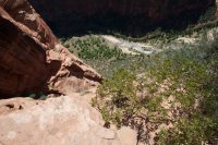 zion-west-rim-36.jpg zion-west-rim-36.jpg
