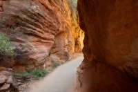 zion-west-rim-38.jpg zion-west-rim-38.jpg