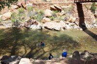 zion-west-rim-41.jpg zion-west-rim-41.jpg