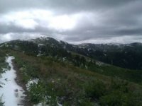 uploadfromtaptalk1338310700105.jpg uploadfromtaptalk1338310700105.jpg