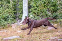 20140904-IMG_4717.jpg 20140904-IMG_4717.jpg