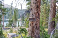 20140904-IMG_4790.jpg 20140904-IMG_4790.jpg