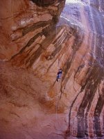 P5080016.JPG P5080016.JPG