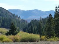 P1040250.JPG P1040250.JPG