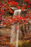 Emerald Pools-websize.jpg