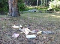 bco trips etc aug 09 061.JPG