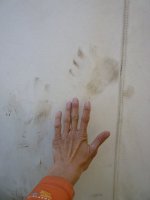 bco trips etc aug 09 070.JPG