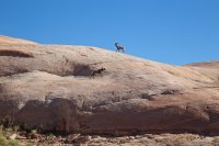 west-canyon-powell-17.jpg west-canyon-powell-17.jpg