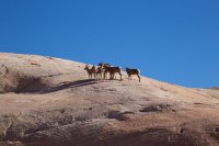 west-canyon-powell-20.jpg west-canyon-powell-20.jpg