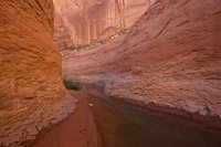 west-canyon-powell-43.jpg west-canyon-powell-43.jpg