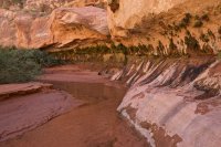 west-canyon-powell-47.jpg west-canyon-powell-47.jpg