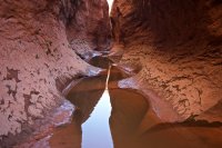 west-canyon-powell-54.jpg west-canyon-powell-54.jpg