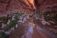 west-canyon-powell-58.jpg west-canyon-powell-58.jpg