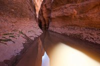 west-canyon-powell-59.jpg west-canyon-powell-59.jpg