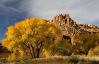 Cottonwoods and the Castle.jpg