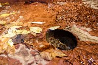 Subway\'14-81.jpg Subway\'14-81.jpg